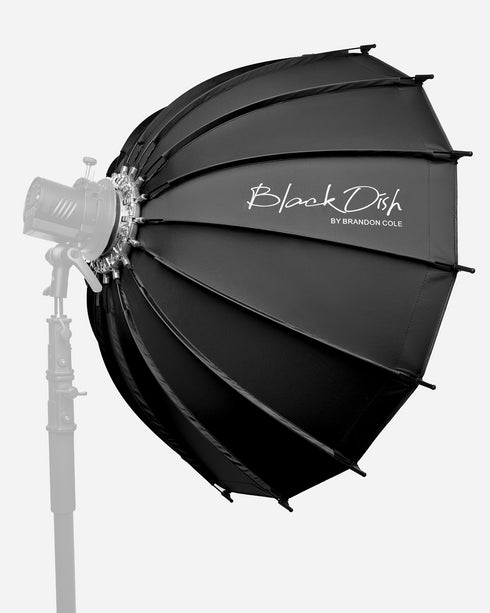 40" Blackdish